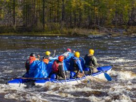 Рыбалка на трофейного тайменя на реке Гонам