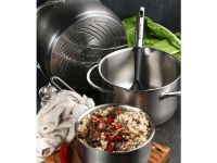 Кастрюля с крышкой Polaris Solid-24C