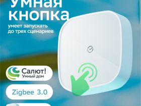 Умная кнопка Sber SBDV-00032 Белая