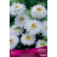 Нивяник наибольший Аглая