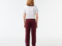 Мужские спортивные брюки Lacoste