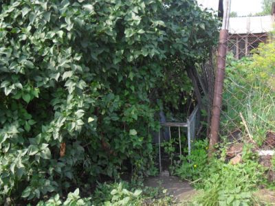 Могила Губина И.Н., участника Гражданской войны