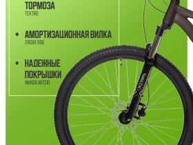 Горный велосипед Benort Vector 29, год 2026, цвет Серый, ростовка 19