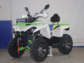 Квадроцикл AVANTIS Forester 200