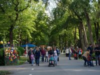 Парк им. Н. Островского