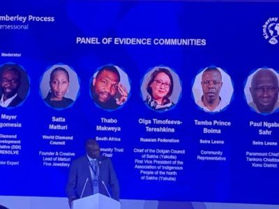 Чем Якутия и АЛРОСА могут помочь африканским странам