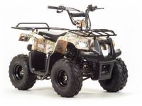 Квадроцикл MOTOLAND 110 Rider (2021 Г.)