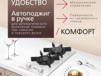 Газовая панель Hansa BHKW330300