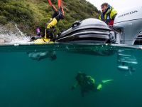 4х-тактный лодочный мотор HONDA BF20 SHU