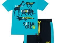 Комплект для мальчика: футболка, шорты