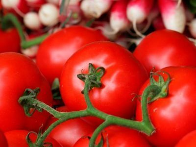 В России началось онлайн-голосование по выбору «зелёного» бренда