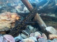 Дом природы г. Череповца