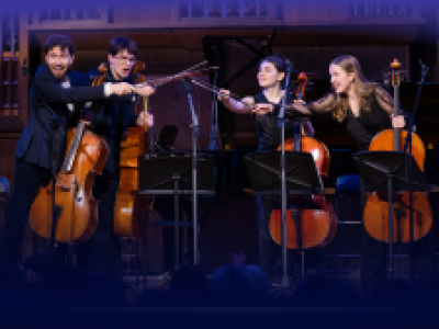 Международный день виолончели.Звезды Всероссийской виолончельной академии