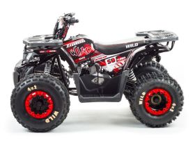 Квадроцикл MOTOLAND Wild 150