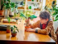 Harry Potter 76433 Конструктор Мандрагора