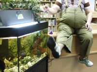 Публичная библиотека г. Норильска