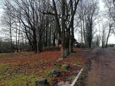 Усадебный парк