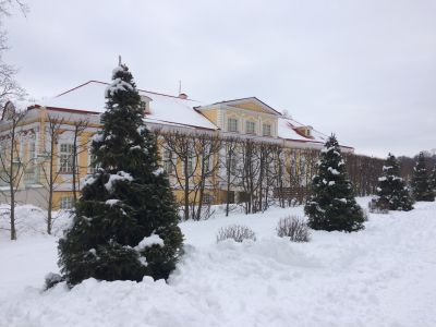 "Картинный дом"