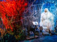 Криптозоологический музей «Бестиарий»