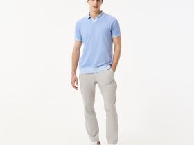 Мужское хлопковое поло Lacoste стандартного кроя