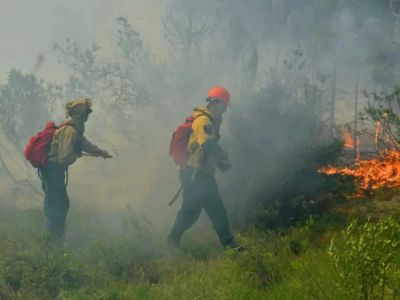 В Якутии предложили развивать систему обнаружения лесных пожаров с использованием углеродных единиц
