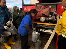 Якутяне высадили 600 сосен для геоглифа «Победа-80»