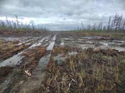 Возбуждено уголовное дело о превышении должностных полномочий при обустройстве противопожарной полосы в Абыйском районе