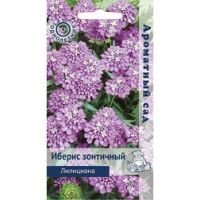 Иберис зонтичный Лилициана (Ароматный сад)