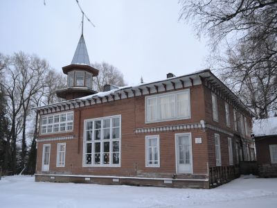 Дом художника А.А. Борисова