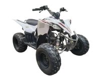 Квадроцикл MIKILON Rapide 120 EFI