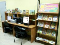 Сорокинская модельная библиотека