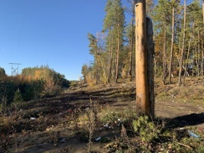 В Якутии трое мужчин похитили и убили знакомого