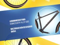 Горный велосипед Welt Rambler 29, год 2024, цвет Серый, ростовка 18