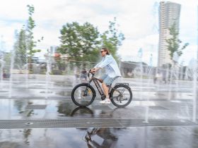 Электровелосипед Alpine Bike Dammastock, год 2025, цвет Коричневый, ростовка 18