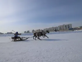В Якутске после семилетнего перерыва проходят Игры оленеводов