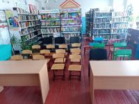 Нижне-Саловская сельская библиотека