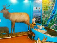 Кабанский краеведческий музей им. М. А. Лукьянова