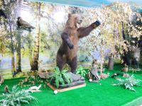 Шарангский народный краеведческий музей