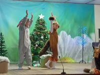 Сельский дом культуры х. Новый Сад