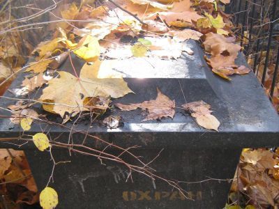 Могила Альбини Антона Антоновича (1780-1830), известного московского врача