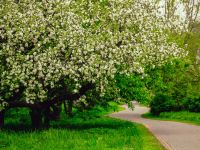 Музейно-парковый комплекс «Северное Тушино»