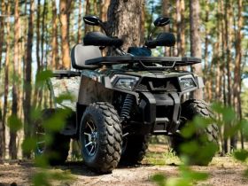 Квадроцикл YAMAHA Shark 300cc