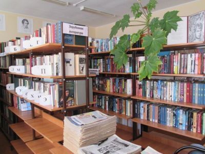 Раздольненская сельская библиотека