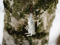 Деревянная брошка Дворникова А. "Заяц"