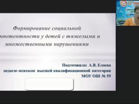 Международный вебинар "Формирование социальной компетентности у детей с тяжелыми и множественными нарушениями"