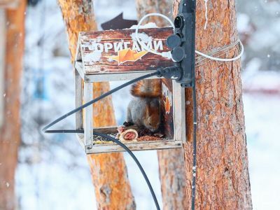 В Якутии на этой неделе температура воздуха превысит норму на 8–12 градусов