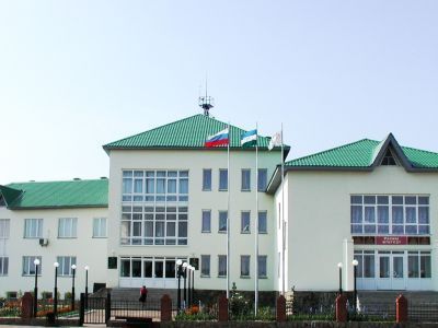 Дмитриево-Полянская сельская библиотека