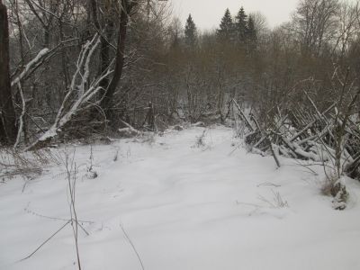 Родина Героя Советского Союза Г.М. Тырина, погибшего в октябре 1944 г.