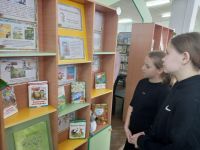 Косихинская модельная детская библиотека