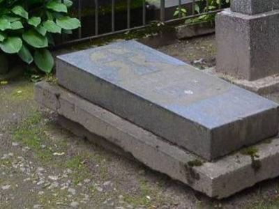 Могила Стеклова В.А. (1863-1926), математика